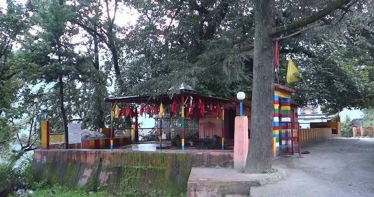 Hotel Near Narsingh Temple Joshimath